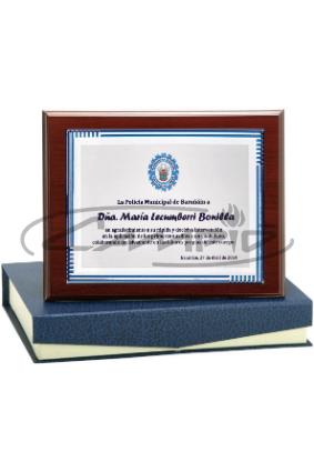 PLACAS HOMENAGEM W1126FP133