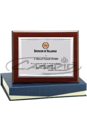 PLACAS HOMENAGEM W1126FP135