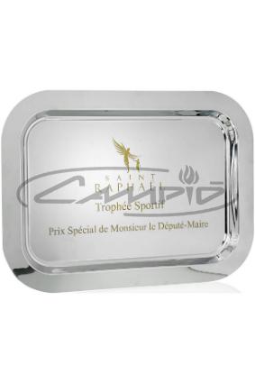 PLACAS HOMENAGEM W1126FP155