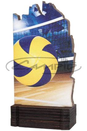 TROF&Eacute;US DESPORTIVOS W1126FT610