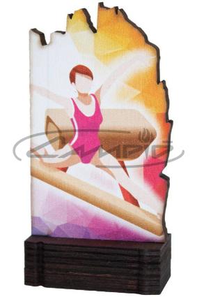 TROF&Eacute;US DESPORTIVOS W1126FT613