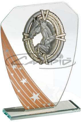 TROF&Eacute;US DESPORTIVOS W1126FT671