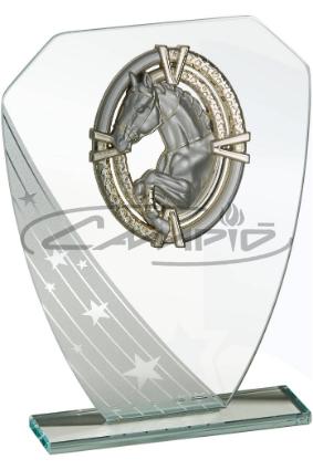 TROF&Eacute;US DESPORTIVOS W1126FT672