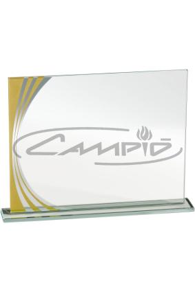 PLACAS HOMENAGEM W1126FP102