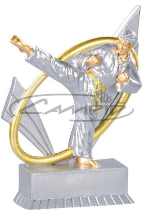 TROF&Eacute;US DESPORTIVOS W1126FT253