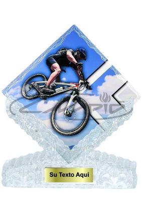 TROF&Eacute;US DESPORTIVOS W1126FT365