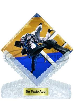 TROF&Eacute;US DESPORTIVOS W1126FT372