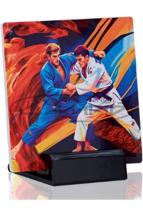 TROF&Eacute;US DESPORTIVOS W1126FT416