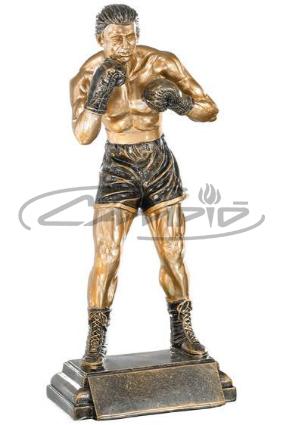 TROF&Eacute;US DESPORTIVOS W1126FT292