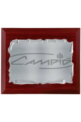 PLACAS HOMENAGEM W0016PL115