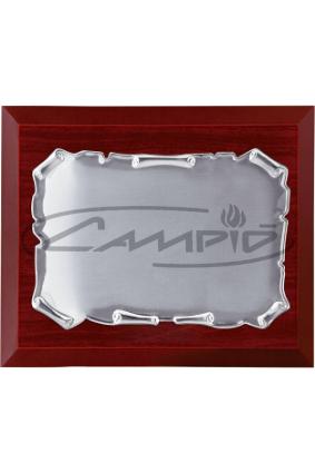 PLACAS HOMENAGEM W0016PL116