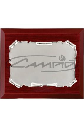 PLACAS HOMENAGEM W0016PL119