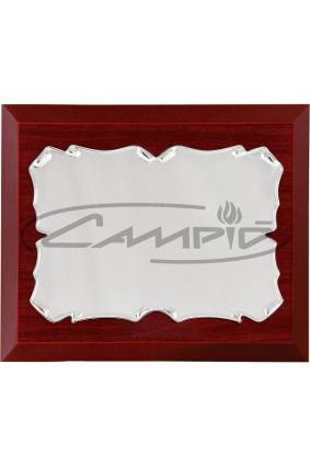 PLACAS HOMENAGEM W0016PL128