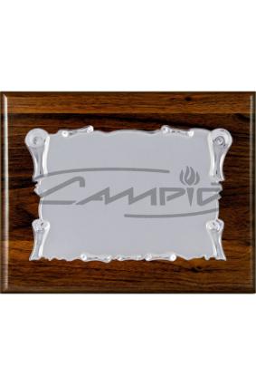 PLACAS HOMENAGEM W0016PL129