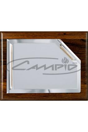 PLACAS HOMENAGEM W0016PL131
