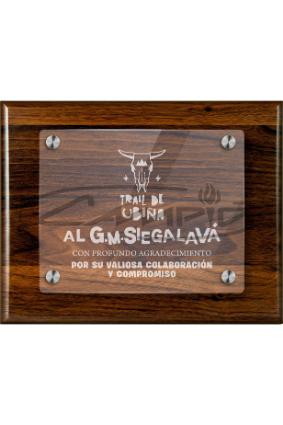 PLACAS HOMENAGEM W0016PL161