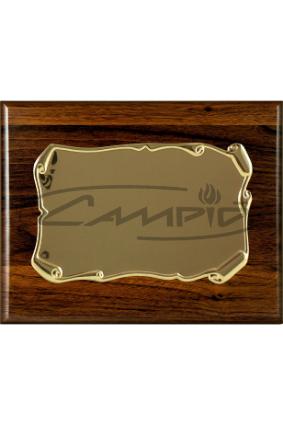 PLACAS HOMENAGEM W0016PL137