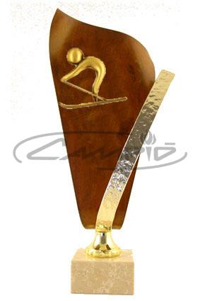 TROFÉUS DESPORTIVOS W00551251