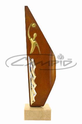 TROFÉUS DESPORTIVOS W00551092