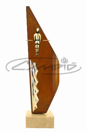 TROFÉUS DESPORTIVOS W00551713
