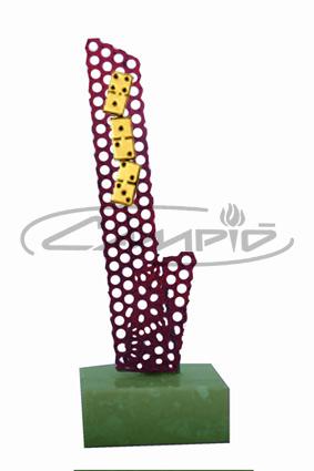 TROFÉUS DESPORTIVOS W00551242