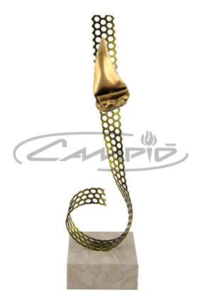 TROFÉUS DESPORTIVOS W0055AT206-10